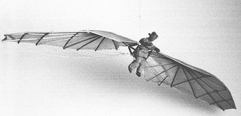 Modèle du Planeur de Wnek Janvier (Musée d'Ethnographie Krak ó w)